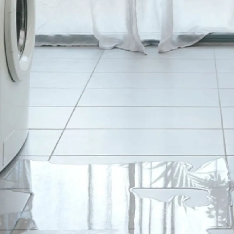 Appliance Leak Cleanup in Lake Catherine, IL