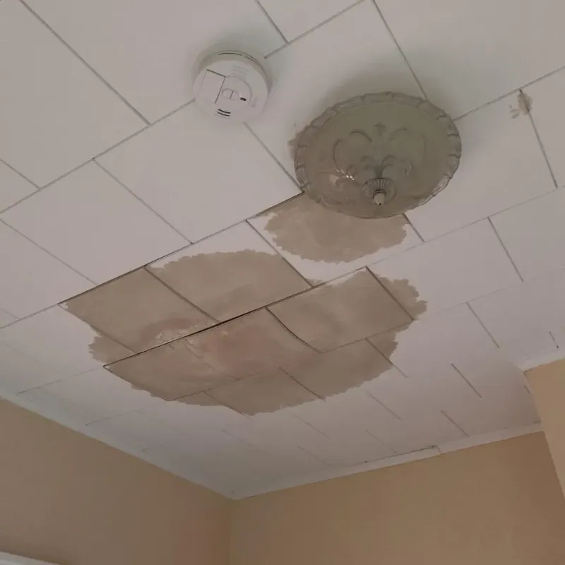 Ceiling Water Damage Repair in Lake Catherine, IL