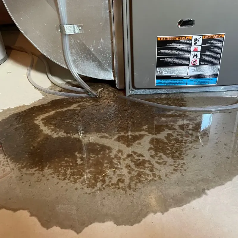 Pipe Burst and Leak Restoration in Lake Catherine, IL