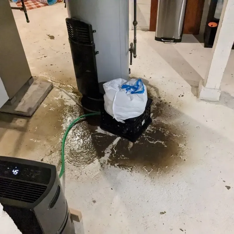 Sewage Backup Cleanup Service in Lake Catherine, IL